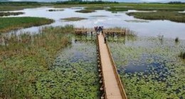 Düzce Sözleri – Düzce İle İlgili Kısa Güzel Sözler