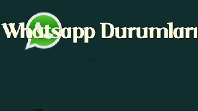 Whatsapp Durumları